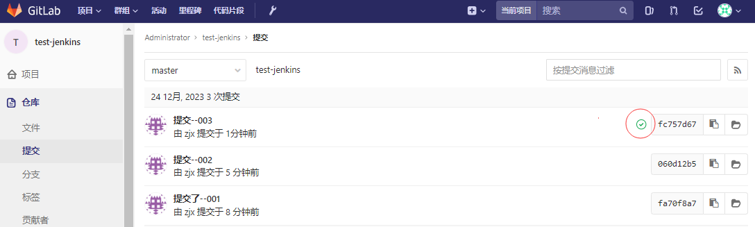 jenkins-构建信息